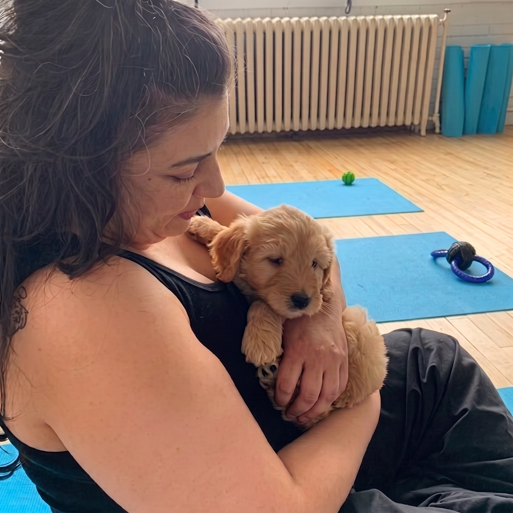 0219_1024x1024